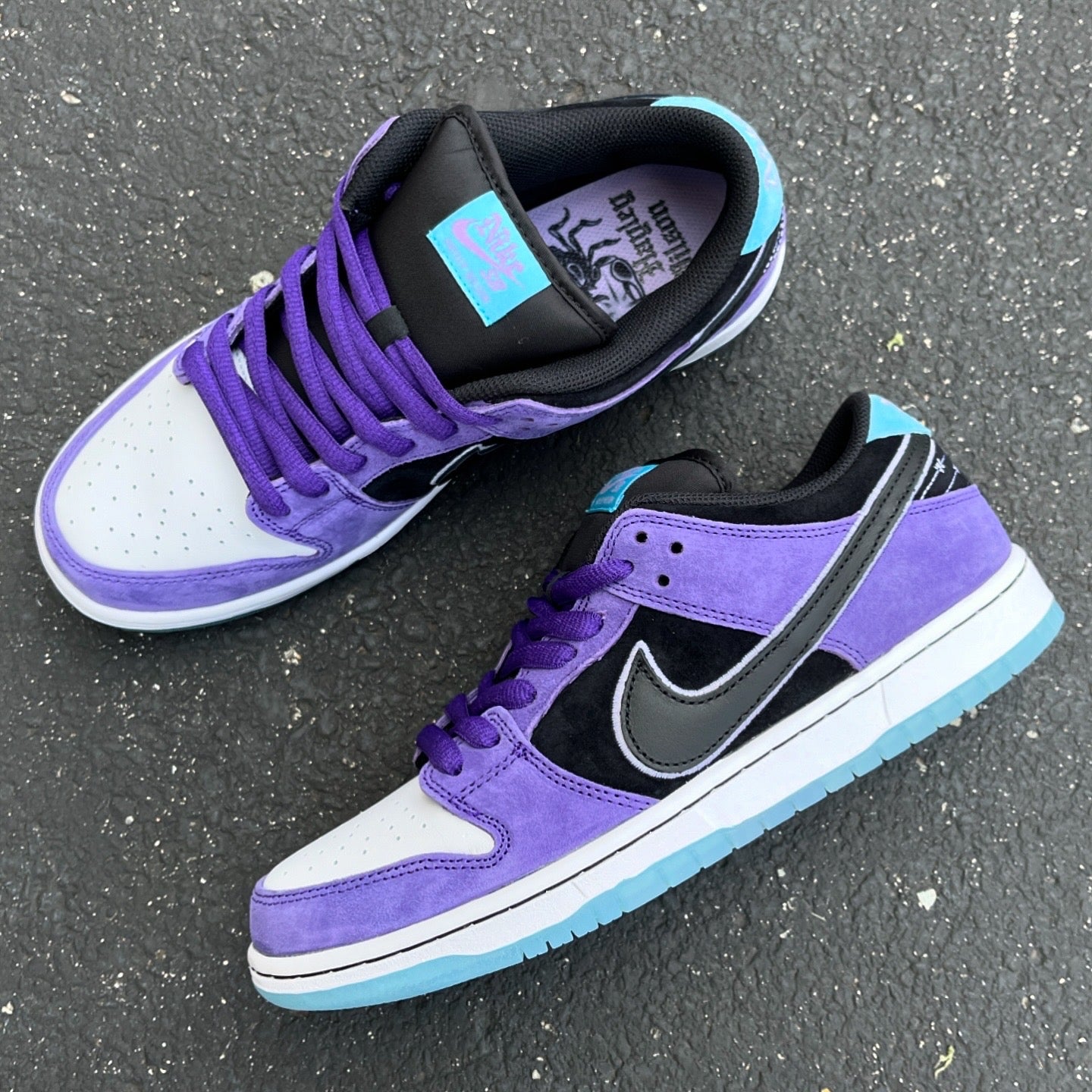 Nike Sb Dunk Low Hayley Wilson