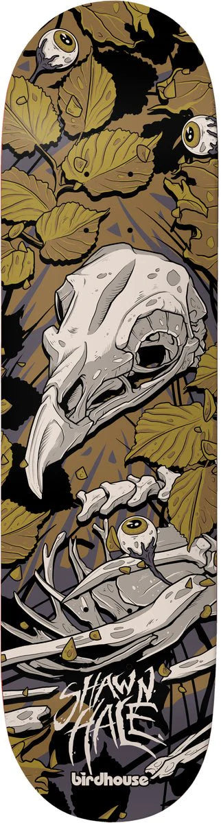 Birdhouse Hale Tillbrook-(9.0)