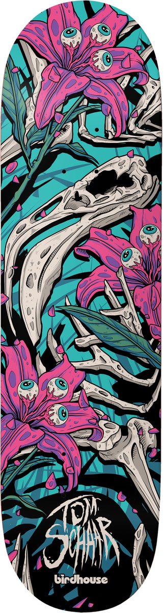 Birdhouse Scharr Tillbrook Deck-(8.38)